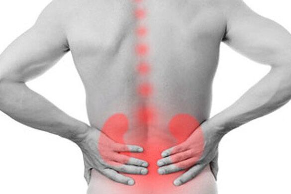 Kidney pathologies can provoke the onset of back pain